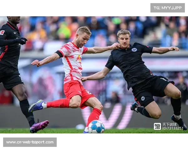 雪天作战指南:德甲多场比赛可能延期 雪天作战指南:德甲多场比赛可能延期